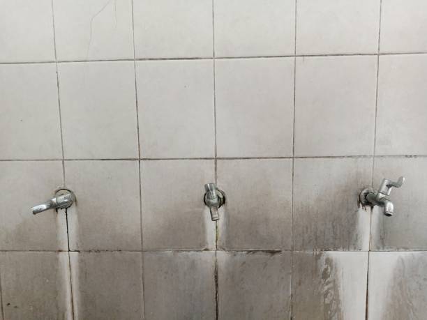 Best Basement water damage restoration  in Falfurrias, TX
