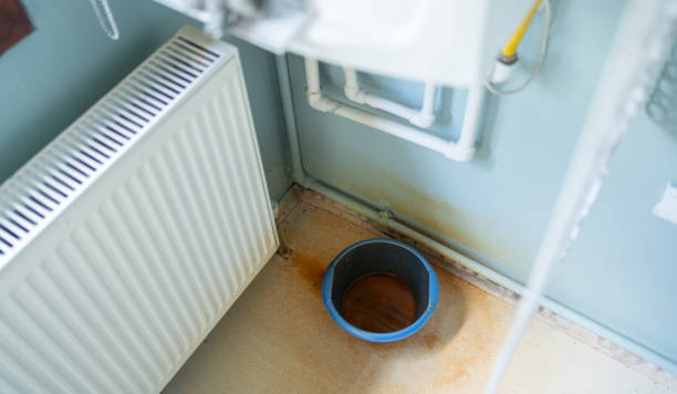 Best Carpet water damage restoration  in Falfurrias, TX