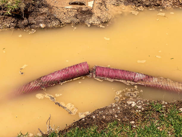 Best Water damage restoration services  in Falfurrias, TX